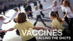 Vaccines at the Crossroads