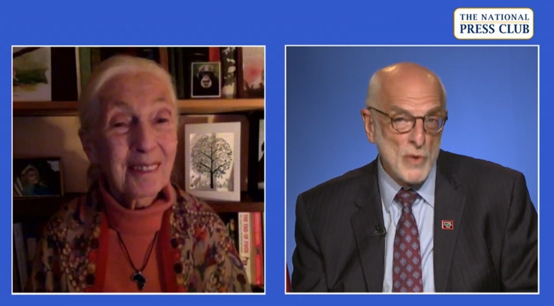 Jane Goodall, renowned primatologist, speaks with NPC President Mike Freedman during a Sept. 25 virtual Headliners event. Photos by Alan Kotok