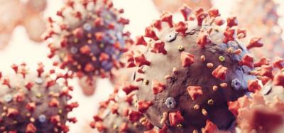 coronavirus