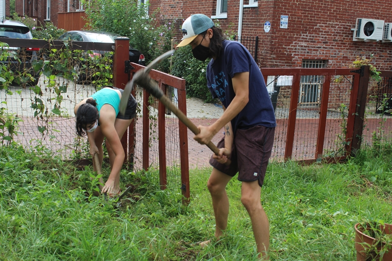 Urban Farm