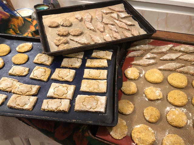 dog cookies on baking sheets